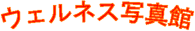 �E�F���l�X�ʐ^��
