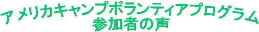 �C�O�{�����e�B�A�@�Q���҂̐�